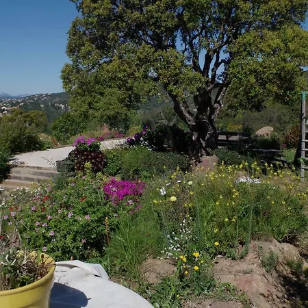 Coustelline Le Lavandou