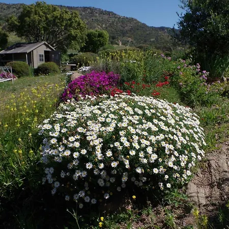 Апартаменты Coustelline