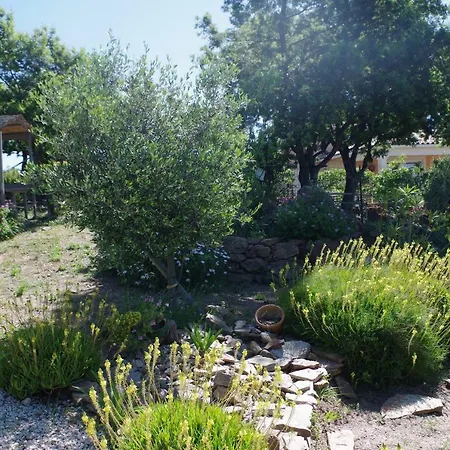 Coustelline Apartmán Le Lavandou