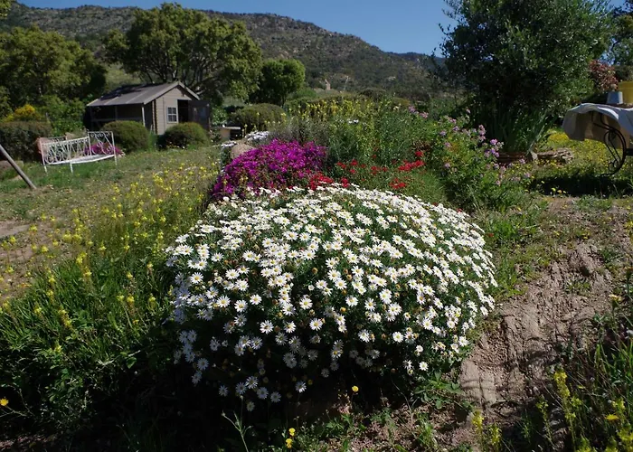 Διαμέρισμα Coustelline