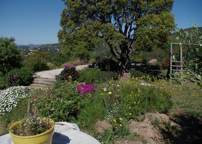 Coustelline Le Lavandou